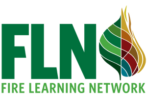 Fire-Learning-Network